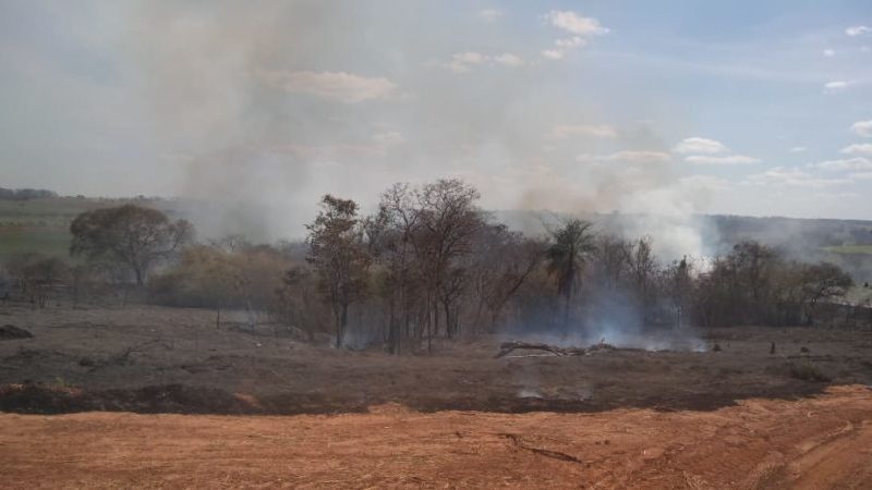 Fogo destrói área com plantação de cana próxima ao Córrego do Lambari
