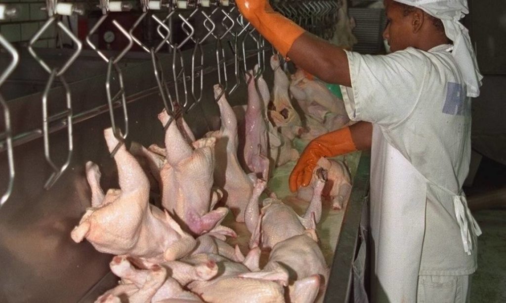 China alega ter encontrado coronavírus em frango importado do Brasil