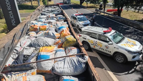 Homem é preso ao transportar mais de uma tonelada de cocaína entre carga de carvão