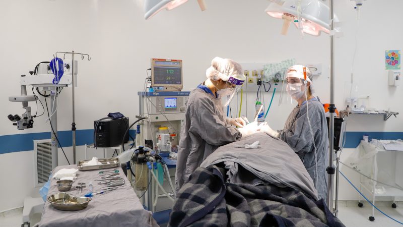SP realiza 1 milhão de cirurgias eletivas no ano pela primeira vez na história